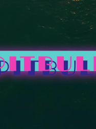 cap_000089.jpg