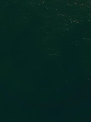 cap_000093.jpg