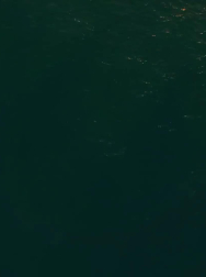 cap_000094.jpg