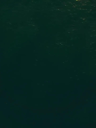 cap_000095.jpg