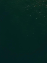 cap_000098.jpg