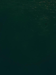 cap_000099.jpg