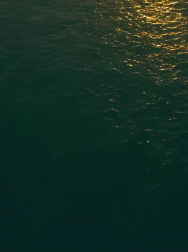 cap_000113.jpg