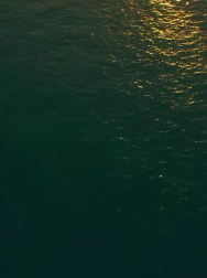 cap_000114.jpg