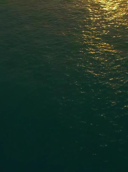 cap_000116.jpg