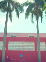 cap_000166.jpg