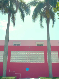 cap_000167.jpg