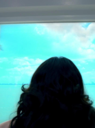 cap_000382.jpg