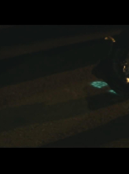cap_000517.jpg