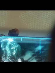 cap_000546.jpg