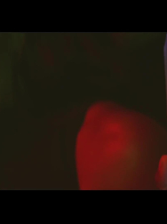 cap_000718.jpg