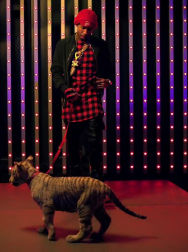 cap_001214.jpg