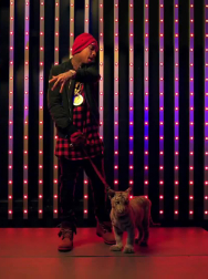 cap_001244.jpg
