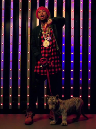 cap_001255.jpg
