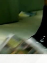 NDVD_104.jpg